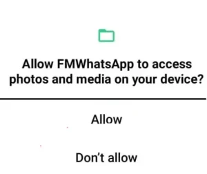 Fm whatsapp permissions